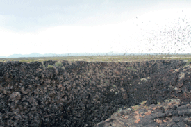 Thousands of bats emerging from the Jornada Bat Cave in New Mexico