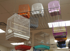 Bird cages in Las Cruces