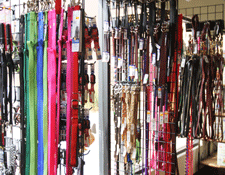 Dog and cat leashes at Better Life Pet Foods