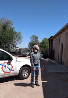 Power pest control spraying in Las Cruces