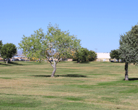 Frenger Park in Las Cruces