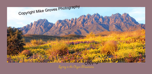 Organ Mountain Photo - Mike Groves Photography in Las Cruces