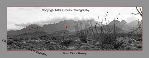 Mike Groves Photography Store