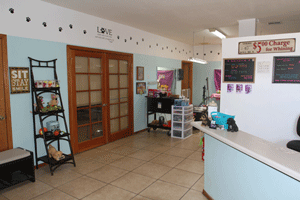 Dog grooming shop in Las Cruces, Precision Groomers