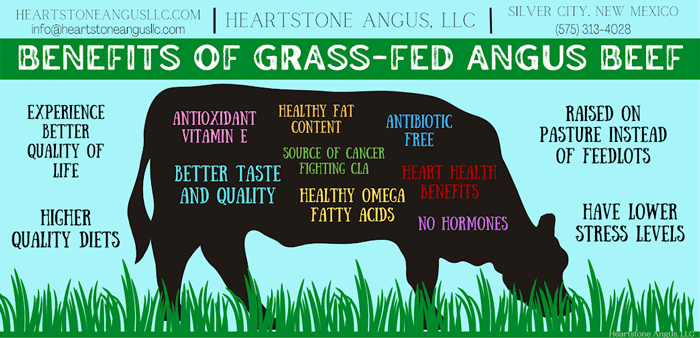 Benefits of Grass-Fed Angus Beef
