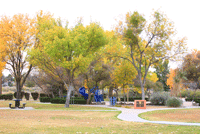 Salopek / Stull Park in Las Cruces