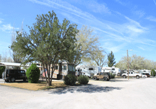 Pull through spaces at Sunny Acres RV Park in Las Cruces