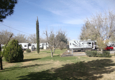 Large spaces at Sunny Acres RV Park in Las Cruces
