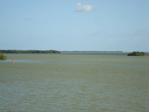Lake in Everglades, Florida