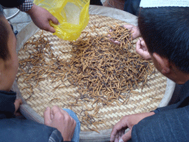 Market goods in Lhasa, Tibet