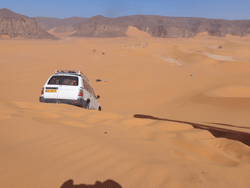 Dunes in the Sahara Desert