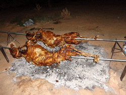 Roasting goat in the Sahara Desert