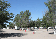 Large shady spaces at Western Sky RV Park near Las Cruces, NM