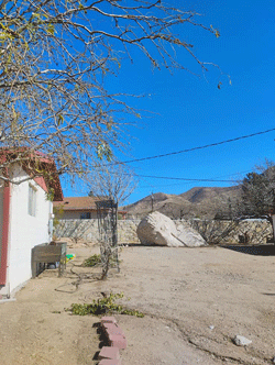 Cutting back tree hanging on electric wires - Dona Ana Tree Care in Las Cruces, NM